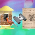 An Editor’s Picks: The Best Gifts for Bird Lovers